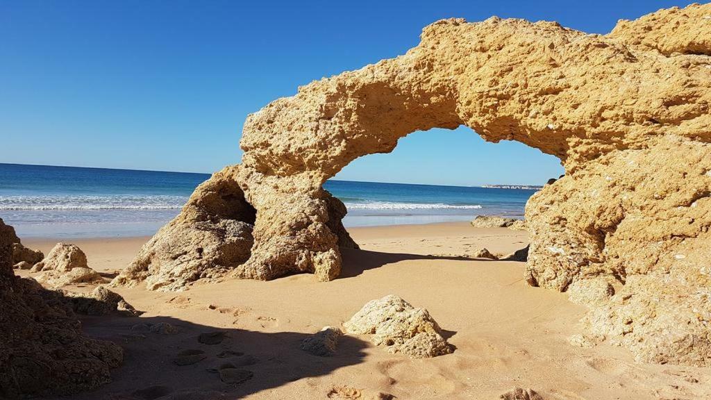 דירות אלבופיירה Beach Choro מראה חיצוני תמונה